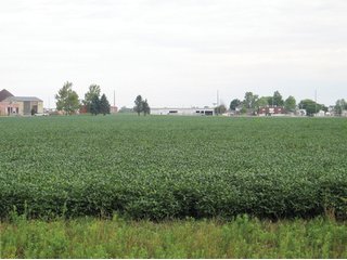 Property photo 9 - 229 +/- Acres Offered in 2 Tracts - Land Auction